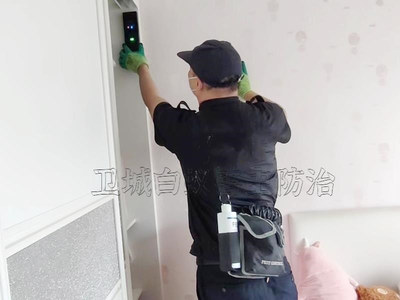 守護南城家園 專業白蟻防治服務，構筑安全防線