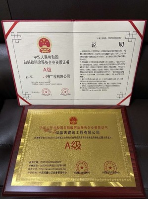 白蟻防治A級資質認證 全國通行，守護您的財產安全