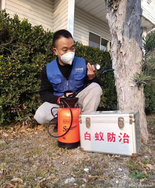廣州市白蟻防治服務全指南 專業消殺，全市縣鎮覆蓋