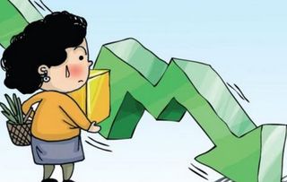 上海朗龍投資咨詢(xún)中心 有限合伙